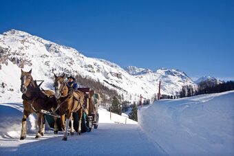 Clalüna-Sils Kutschen Winter