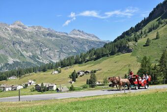 Clalüna-Sils Kutschen Sommer