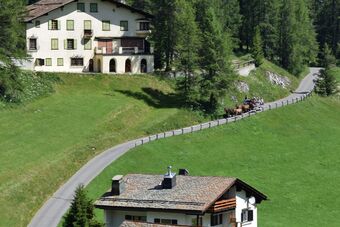 Clalüna-Sils Kutschen Sommer