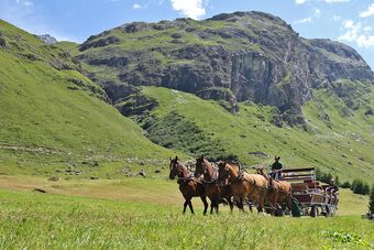 Clalüna-Sils Kutschen Sommer