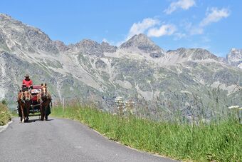 Clalüna-Sils Kutschen Sommer