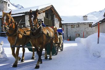 Clalüna-Sils Kutschen Winter