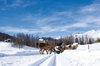 Clalüna-Sils Kutschen Winter