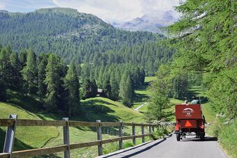 Clalüna-Sils Kutschen Sommer