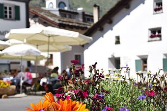 Clalüna-Sils Kutschen Sommer