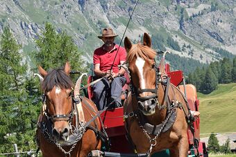 Clalüna-Sils Kutschen Sommer