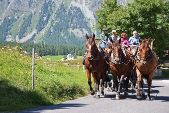 Clalüna-Sils Kutschen Sommer