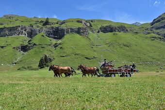 Clalüna-Sils Kutschen Sommer