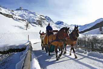 Clalüna-Sils Kutschen Winter