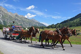 Clalüna-Sils Kutschen Sommer